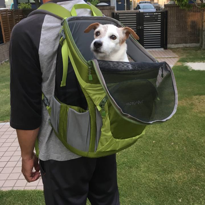 A300cdbf 1ba4 433a bb05 8a34dd8eaa8b