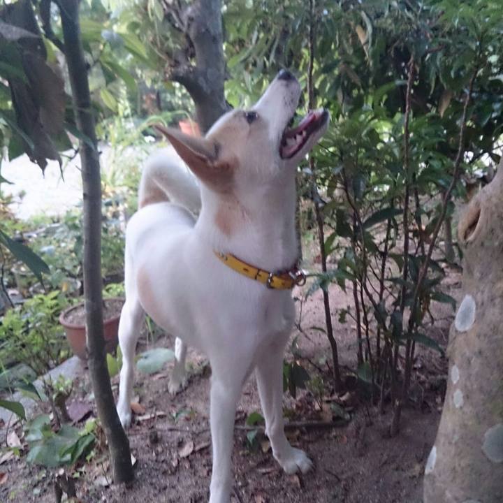 A300e044 119f 4487 b092 de8ad6bd6133