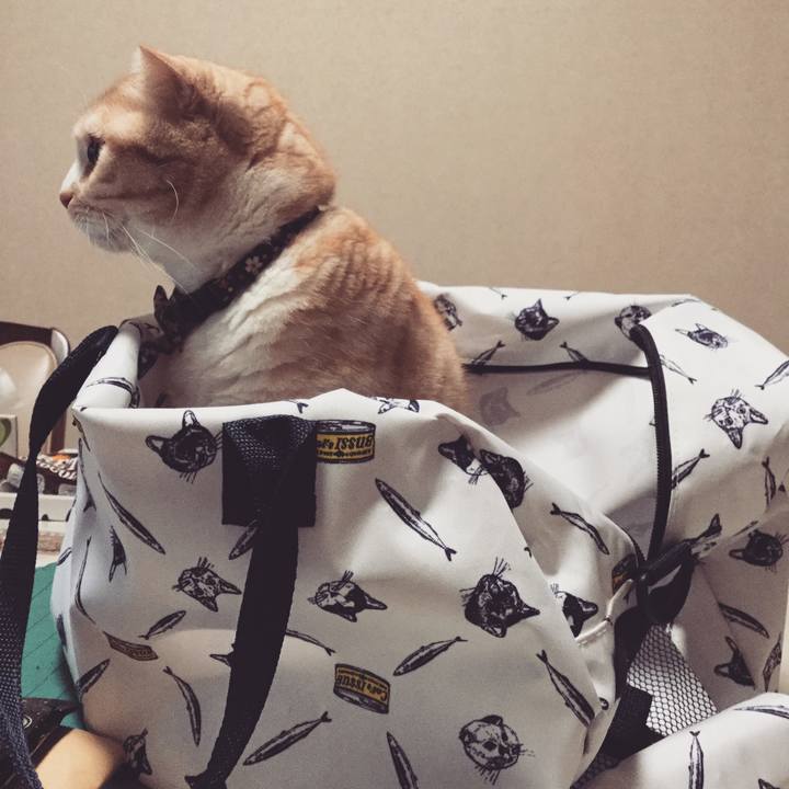 A300f365 53b2 4a14 a0b0 065cf69bb348