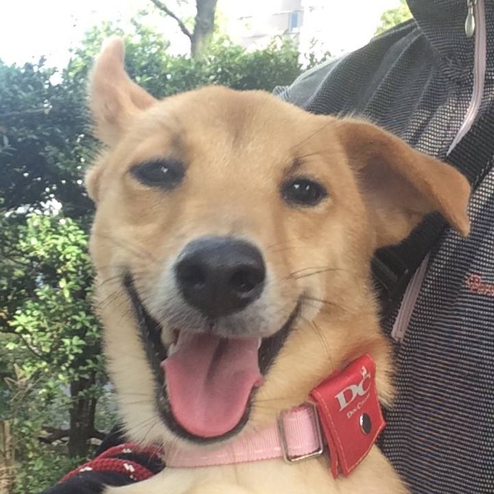 A301144b c776 4958 8236 ec905273d663