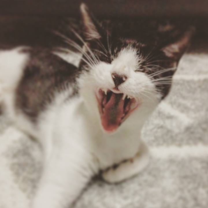 A3012230 0ec8 4275 bf60 d08b08901fcb