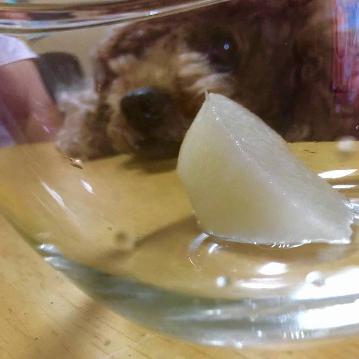 A30189fa 9bdb 4a13 8413 3f1ec8241797