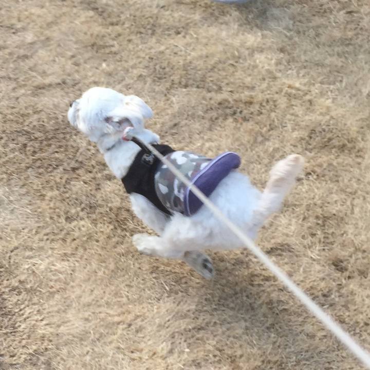 A301936d 02d9 4fb3 9d2b 59b4bf947d2d