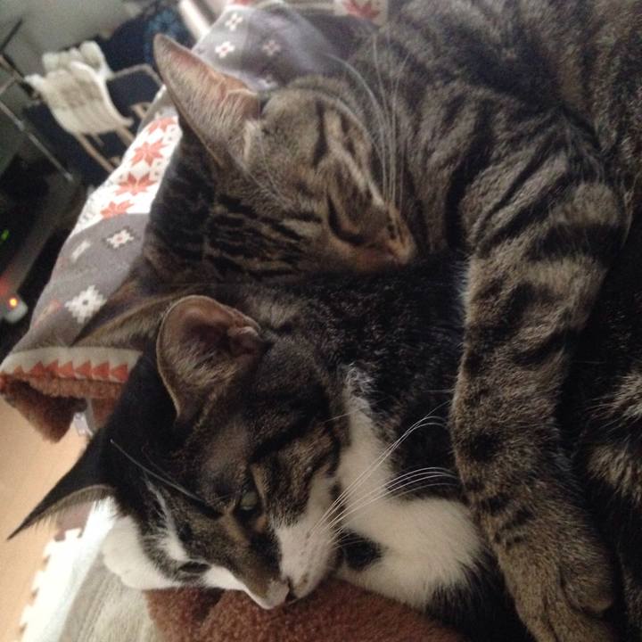 A301f48f 76ac 40db b70b 8d99708f10fb