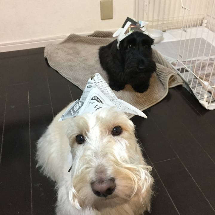 A3021694 971f 4e31 928b d5a82d43c73e