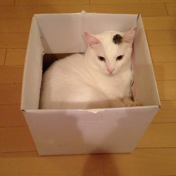 A3029610 19d5 4415 9bb7 a026a9debf01