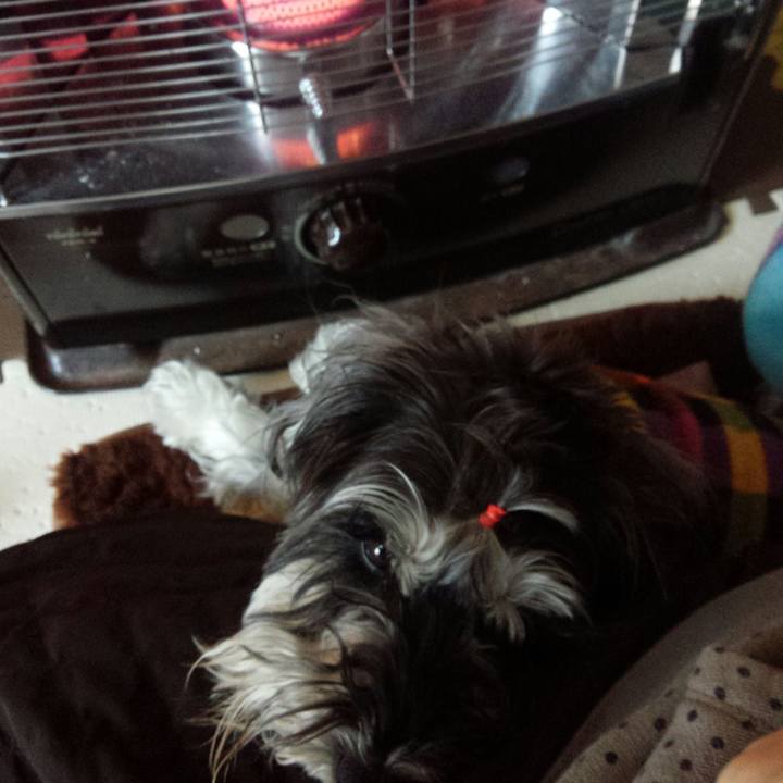 A302c461 50cb 4e20 9d1d d5398ce26cca