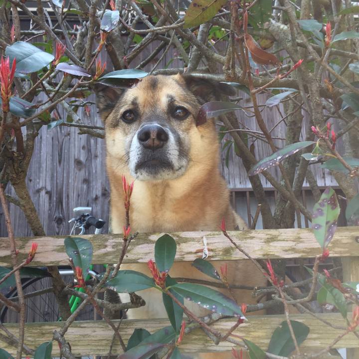 A3034268 29f4 45ba bf92 a1f6484bfddd