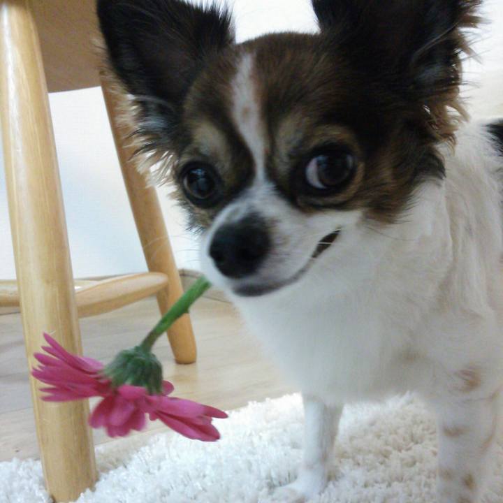 A3045baf 8e33 4925 b922 cfb4ba8e6ded