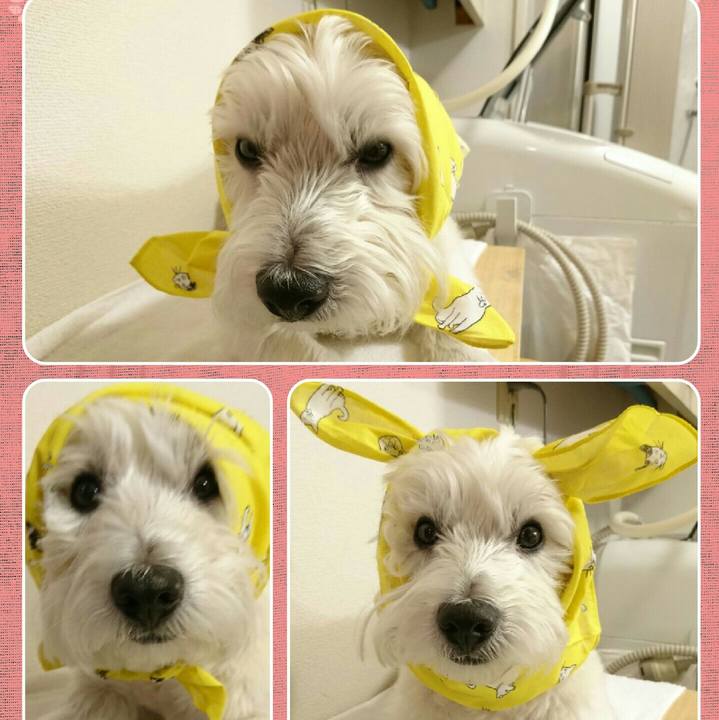 A304cf78 6450 419f a7f4 45a60a1920bd