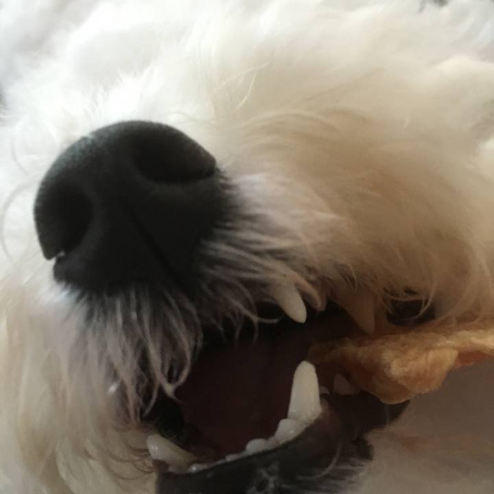 A3051c16 8269 4bf0 b779 c05f0df47600