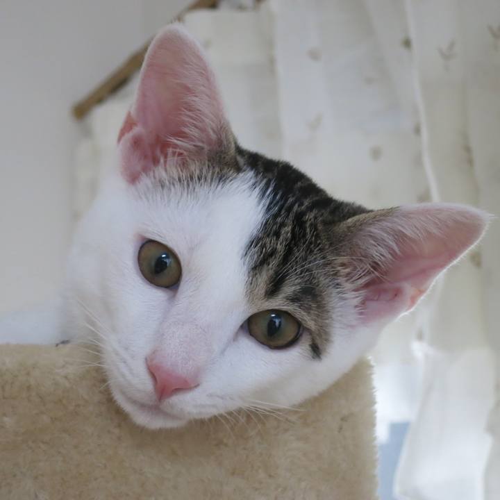 A307d024 8296 4bd7 ae1d 481a7d3e1d48