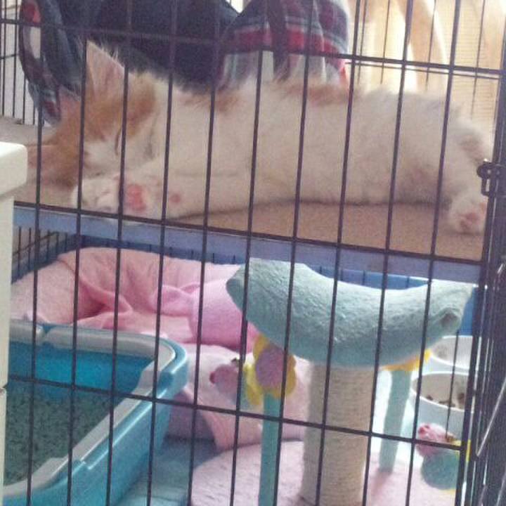 A30839e8 d5ba 409f b749 0947856e296d