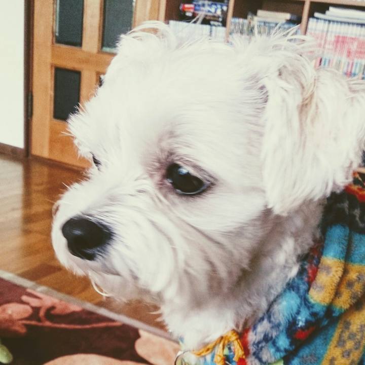 A308512f b13b 4cd2 87f5 da4a6e65e92b