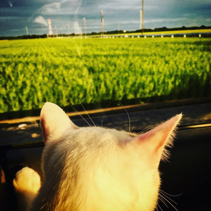 A309b191 10d1 46c6 a5bb 926239695a0e