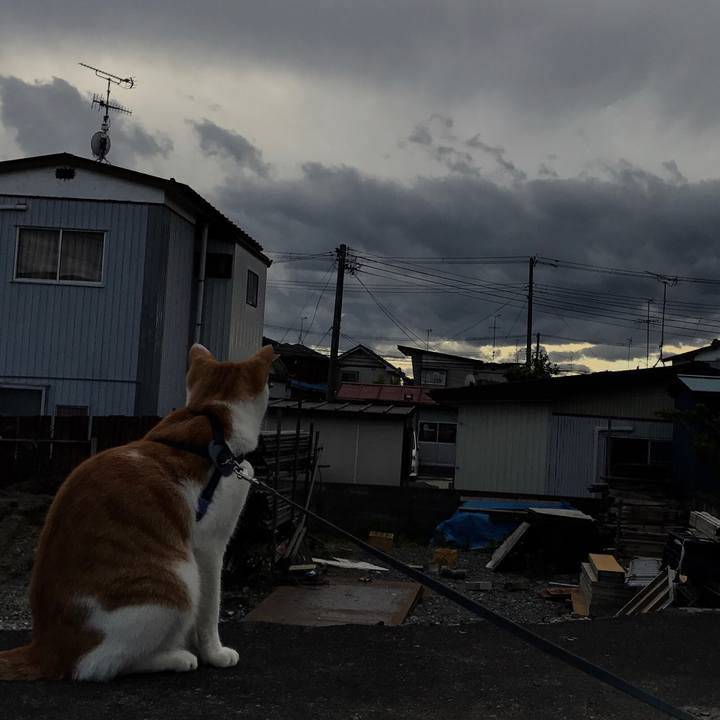 A309eeee a2fc 4e10 bd70 df3f633c7a4d