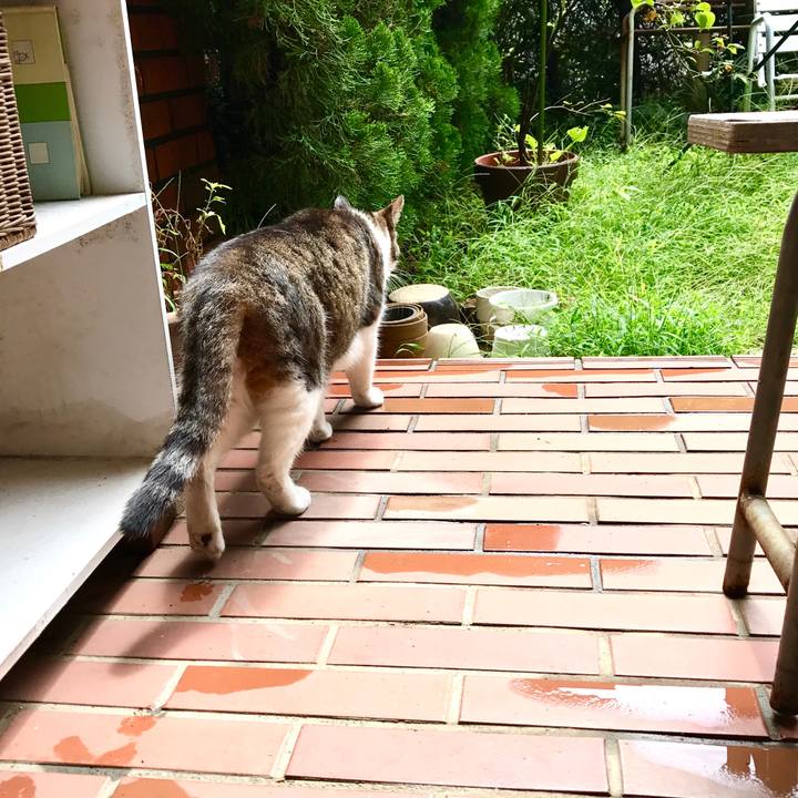 A30a738f 676f 4784 b555 ea1a6b97b560