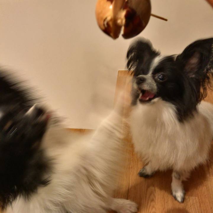 A30a7772 2246 4db9 8f33 f7c8fdf4b96c