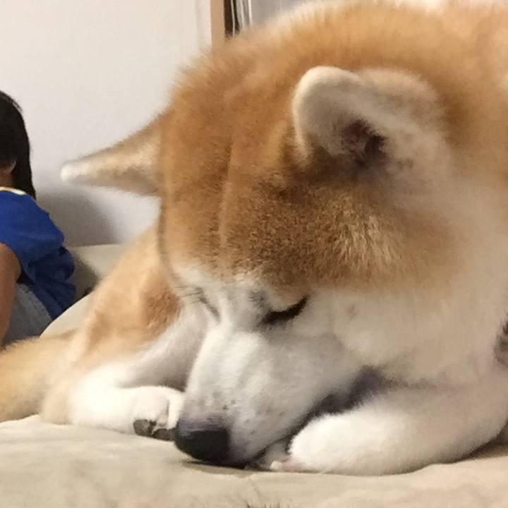 A30aa869 73e3 43f5 ab6c eda82004f432