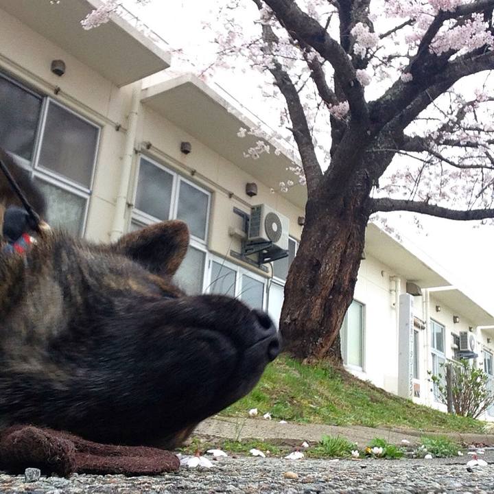 A30af74d d1f2 4b2d 8885 9365d28b1d25