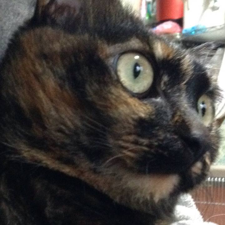 A30b3192 ff4c 44f9 ab75 1b6ae2719d06