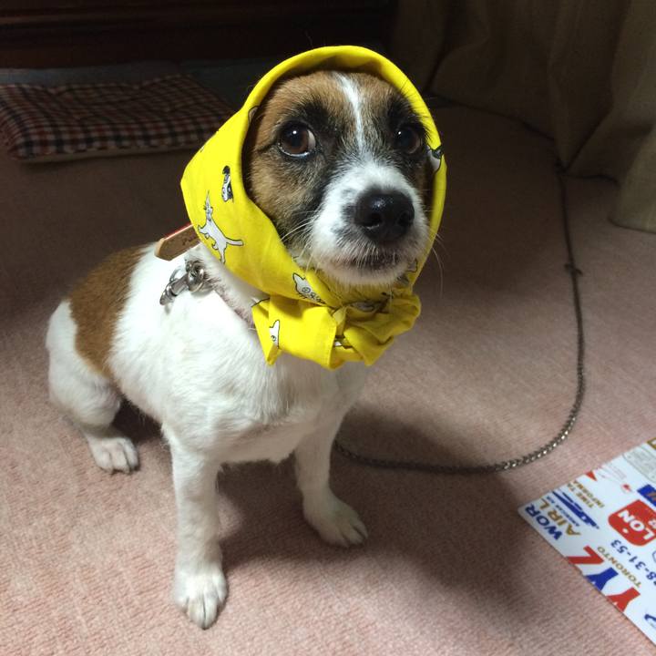 A30ba4fb 10c7 42a6 b95f 0a96ae28bbe3