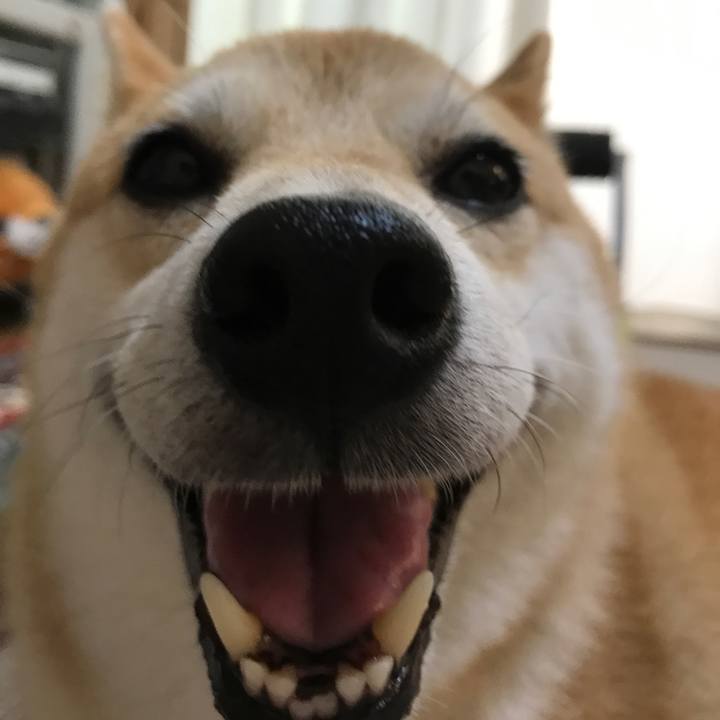 A30c2238 9c55 4938 bf60 2eaacc2f0290