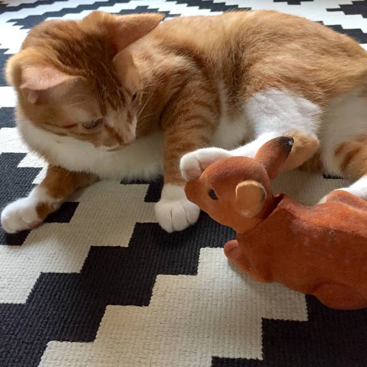 A30d04a7 9028 4438 9634 60a3d1c7ca79