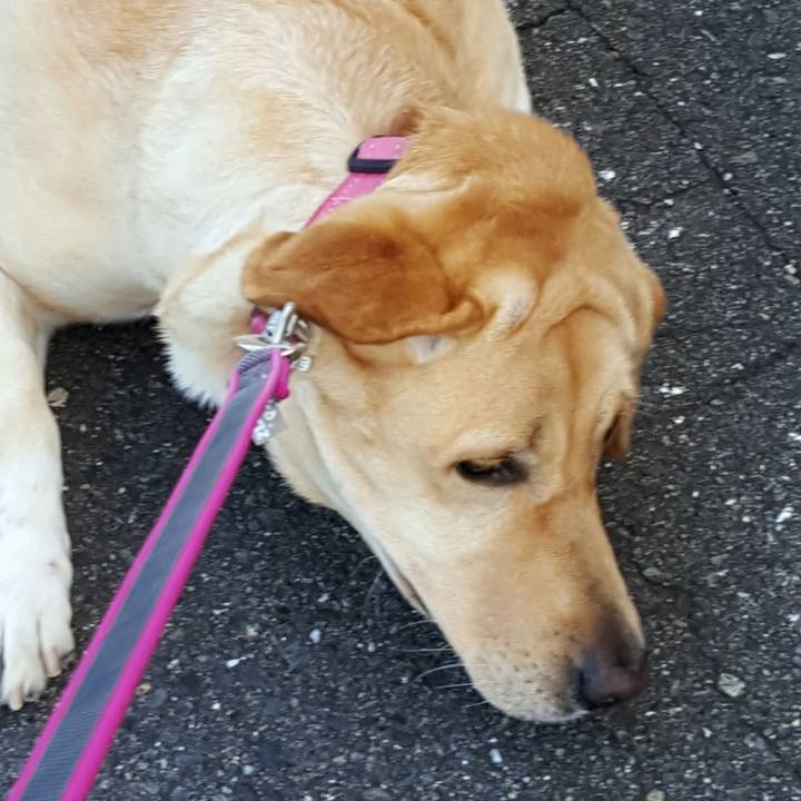 A30d46a4 ce08 4ab2 9d87 002a7b42ced1