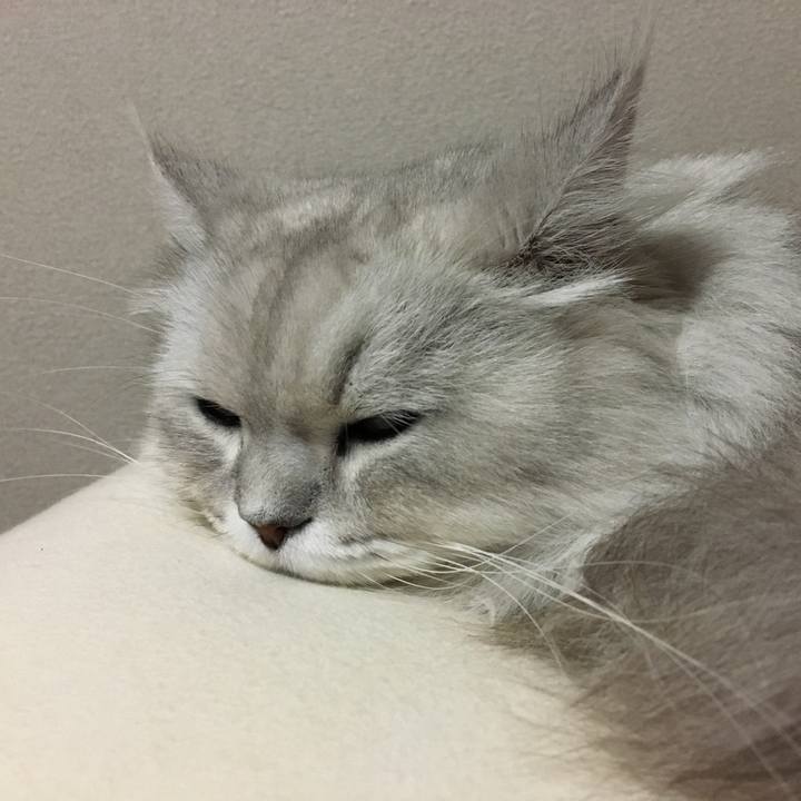 A30d5943 5c69 4b84 8746 40415a6bae8a