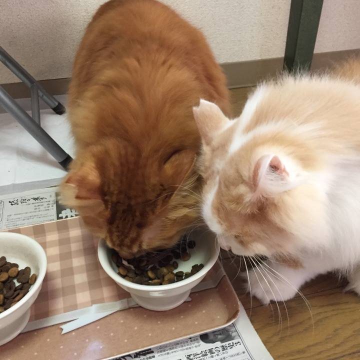 A30d606e 404f 4783 b558 606b7c8eb585