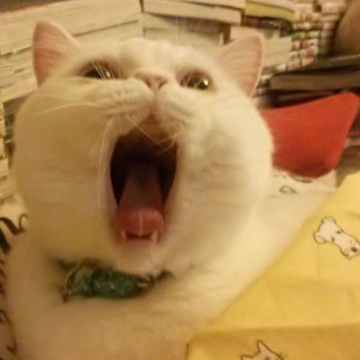 A30e6ea1 d582 4ab0 a5ef 3906d2f765db