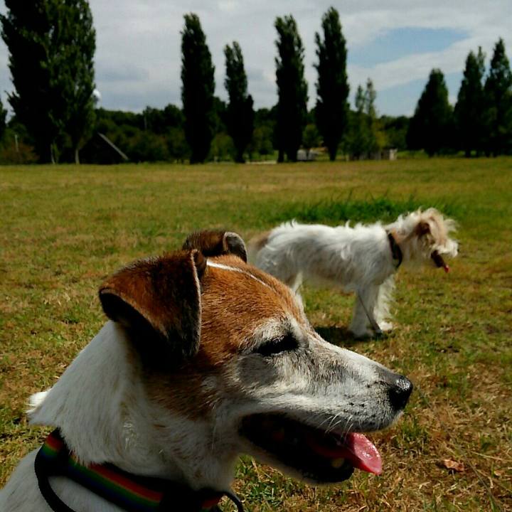 A30eeb26 88c5 4376 9165 80ddc24cbf67