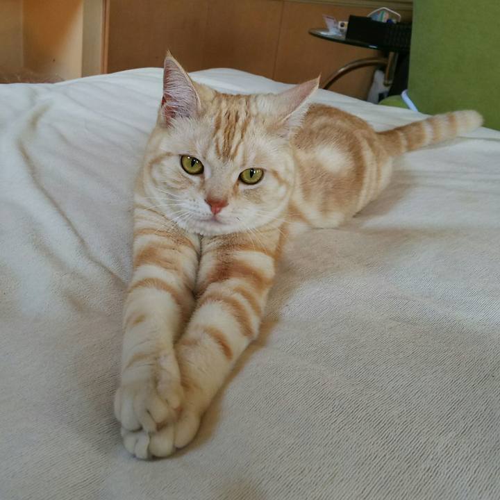 A30f478f 36c3 4859 b895 55a91489e1fe