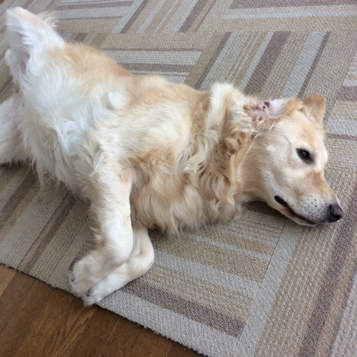 A30f7373 e2f7 4f46 923a b6f7af22180f