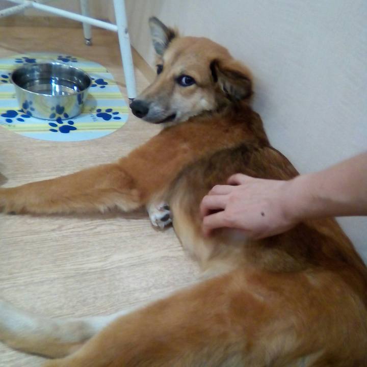 A30ffd4a de1e 4f80 a942 67984e404667