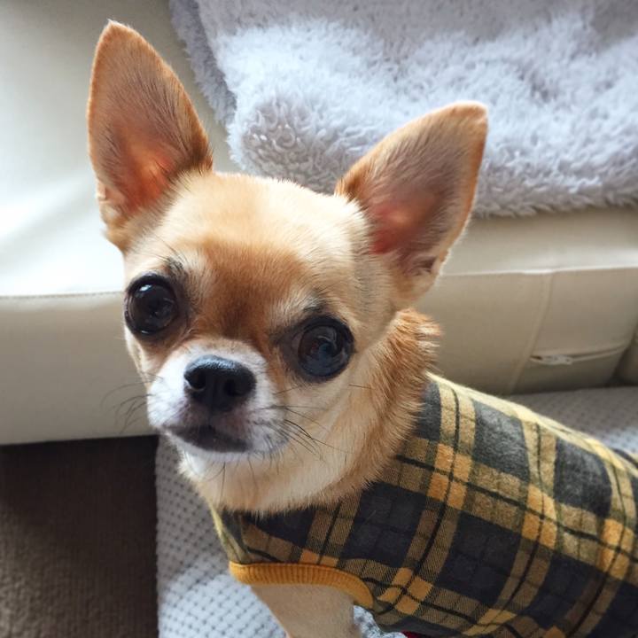 A310a667 2fe8 4178 b021 92e97b0c6d34