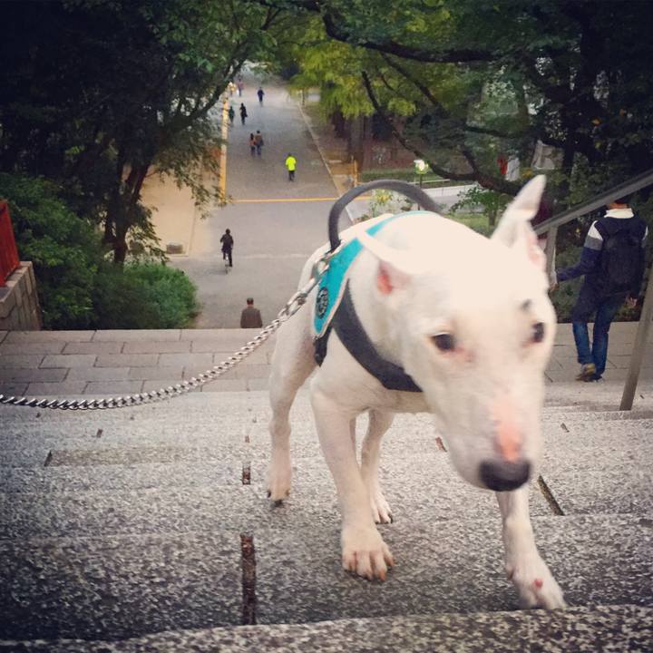 A3112402 62ae 4a2f b8e2 5897e4b2d785