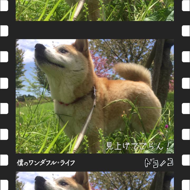 A311e847 d87d 4bd7 a8af 9f709b9c1362