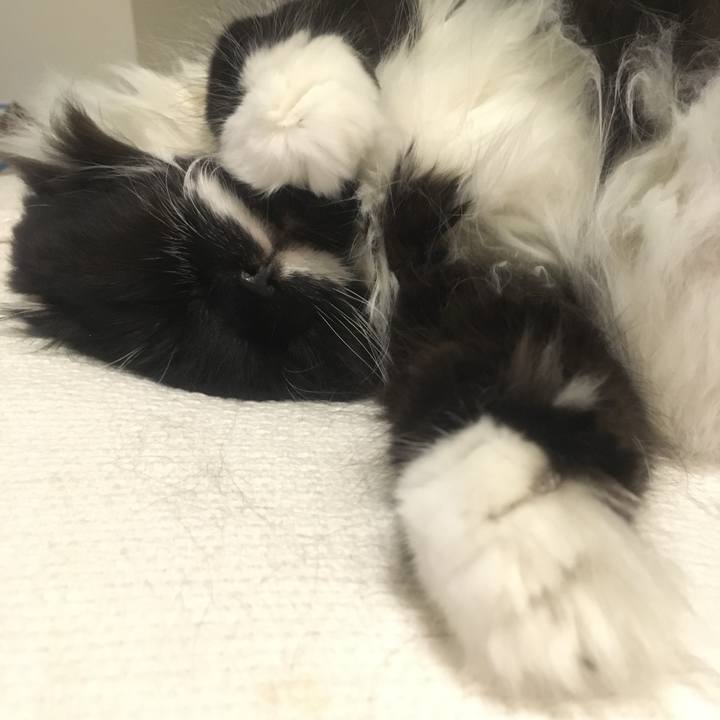 A31296f6 e693 46b6 a0be b2e2011719d8