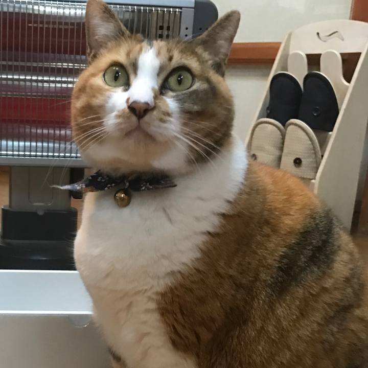 A312c9d6 1405 470f 9f2a 351d847a72ce