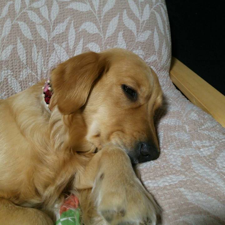 A31312cd 2010 464d 8624 8ad11347bf5d