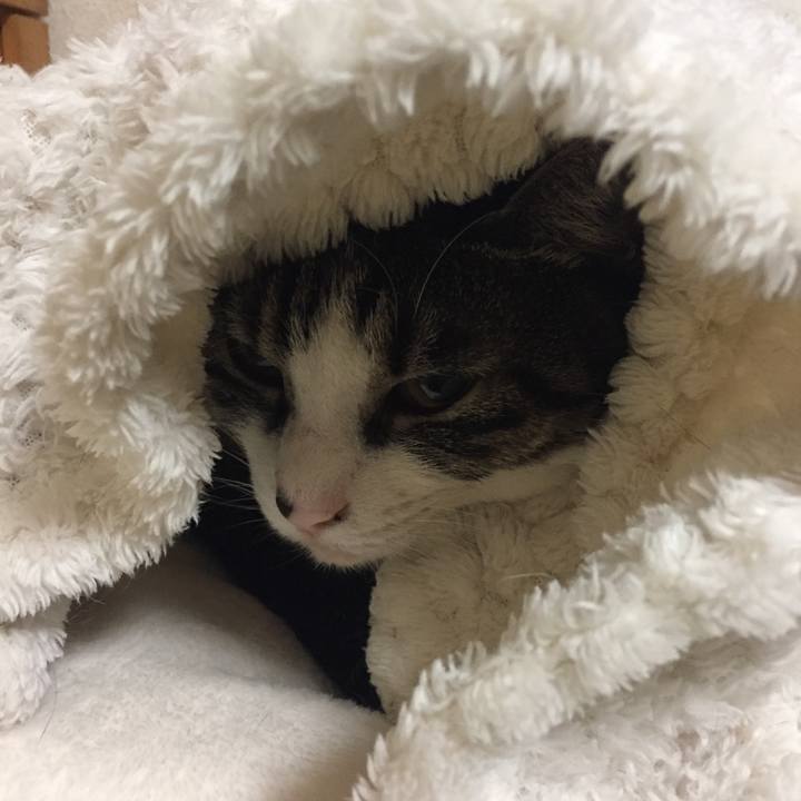 A31403d4 e35d 4473 9249 b32fd09a6158