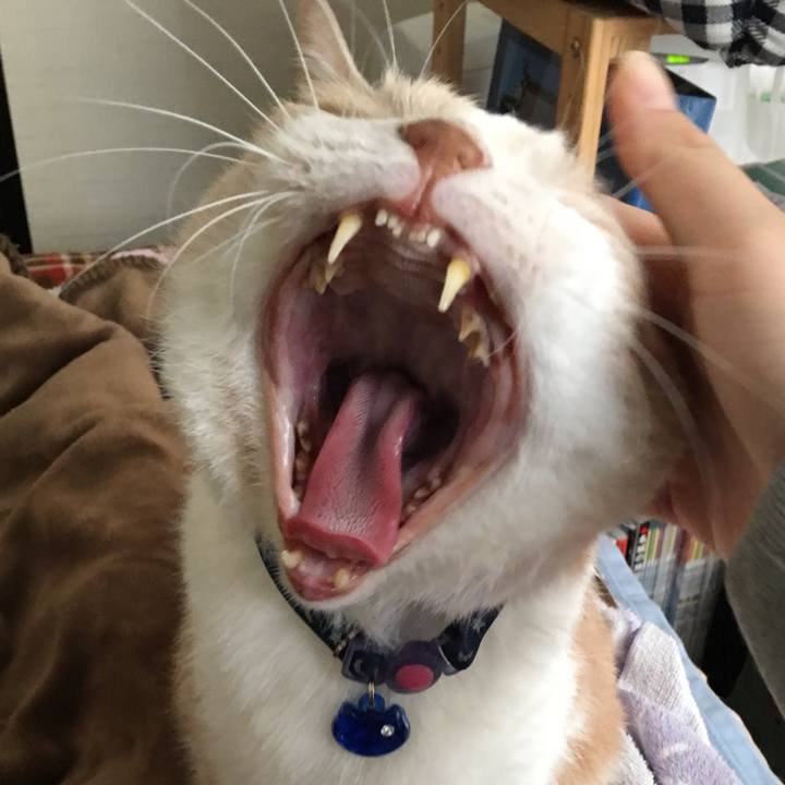 A31478b3 0e32 48b3 b445 8f5ad27ada31