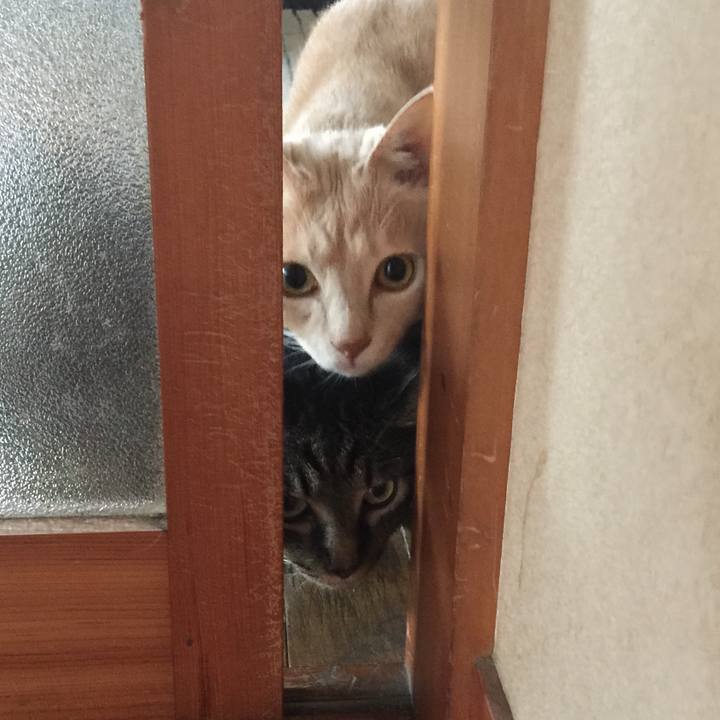 A3148175 f5ae 427f be02 2778650ca68e