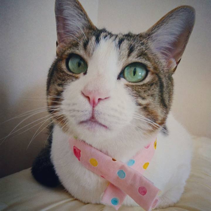 A3148b5f fba2 4bf8 a8d0 b899623e4cfd