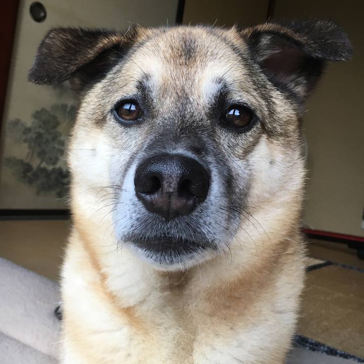 A314c7f7 790e 4c8e 8cb8 7a7bf6da3cc0