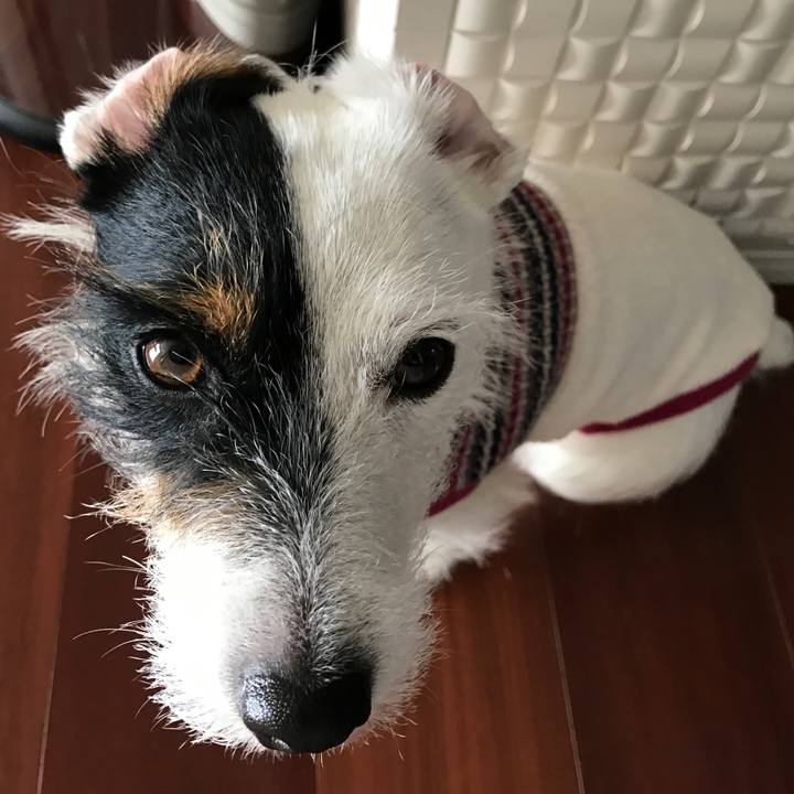 A314e9f0 a0fa 4bcf a5e6 221dc2bf6467