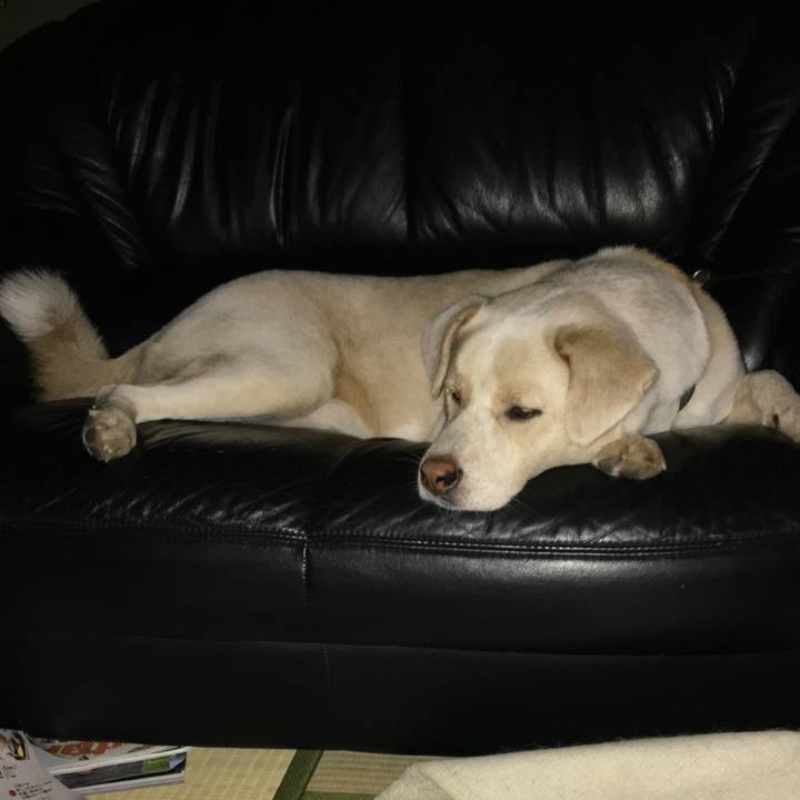 A315969e b7ea 4688 ad54 08090e7c3fc4