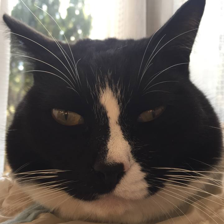 A3168add 746c 429e a8f5 3b1ab17c414f